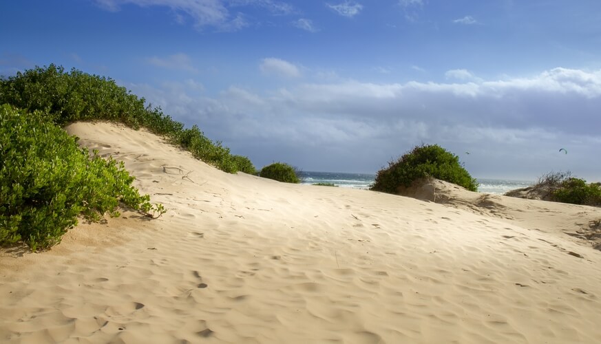 Beach in Worimi National Park