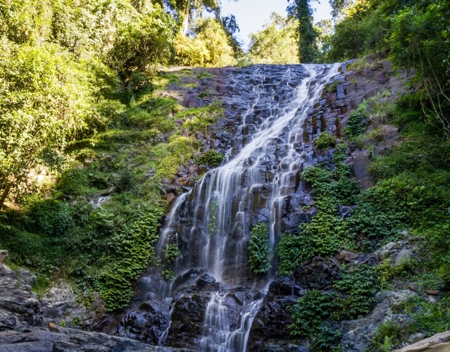 Dorrigo Tristania Falls