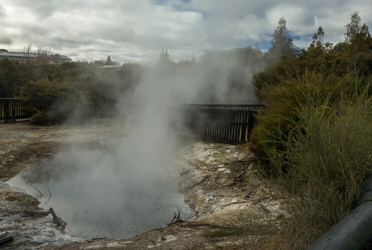 Hot water spring, Rotorua