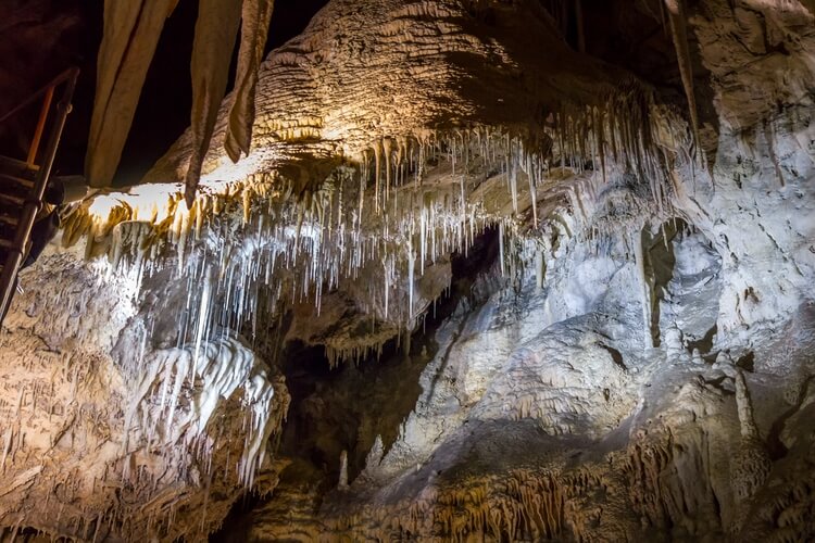 Stalactites in Jenolan Caves