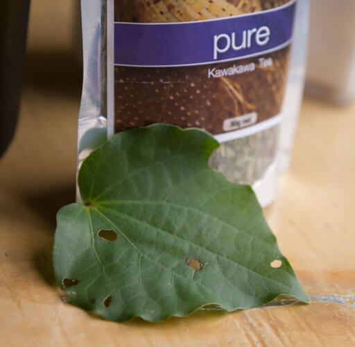 Kava-kava tea and leaf