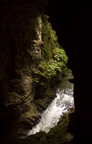 Ruakuri Natural tunnel