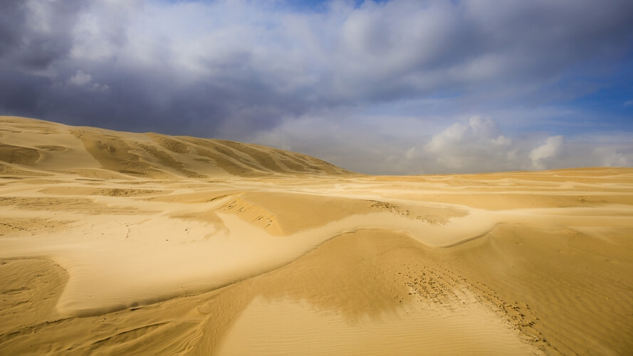Sand dunes, Port Stephens