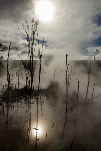 Thermal attraction in Kuirau park, Rotorua